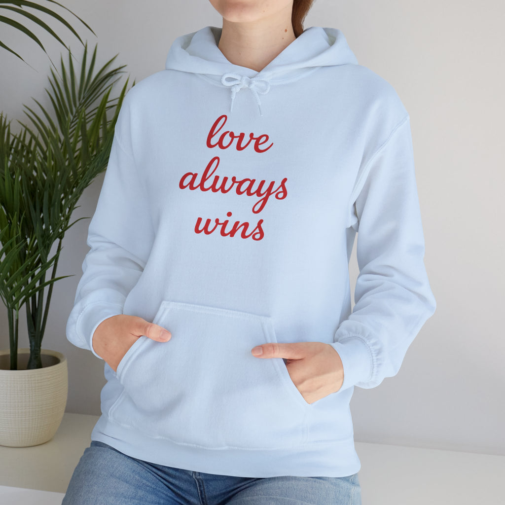 Valentine's Day Love Always Wins Hoodie | XOXO Red Script