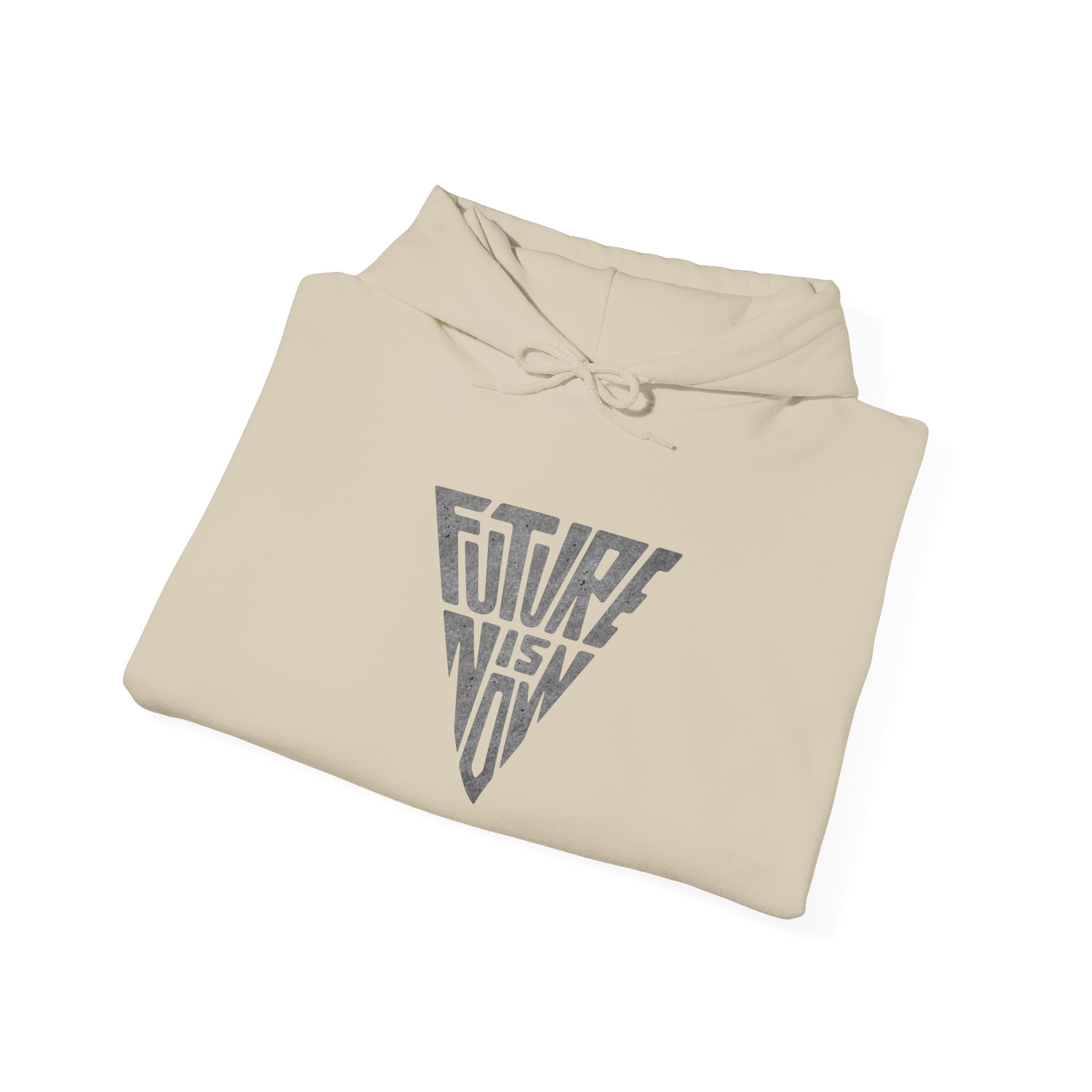 Future Vision Triangle Hoodie | Geometric Typographic Logo